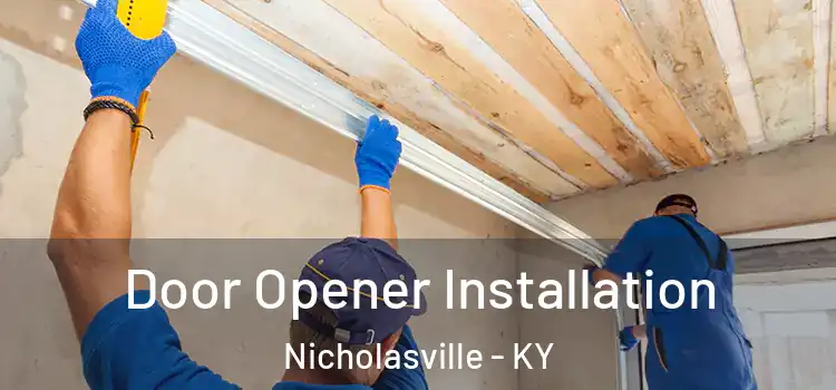 Door Opener Installation Nicholasville - KY
