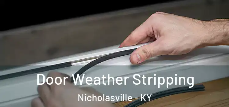  Door Weather Stripping Nicholasville - KY