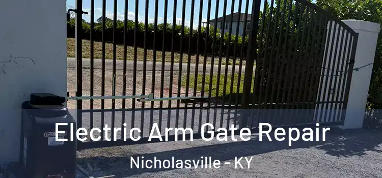 Electric Arm Gate Repair Nicholasville - KY