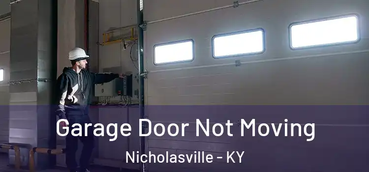  Garage Door Not Moving Nicholasville - KY