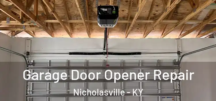 Garage Door Opener Repair Nicholasville - KY