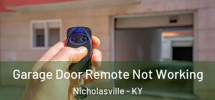  Garage Door Remote Not Working Nicholasville - KY