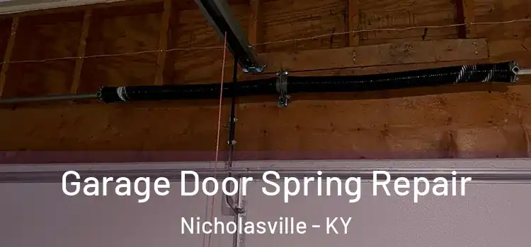  Garage Door Spring Repair Nicholasville - KY