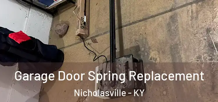  Garage Door Spring Replacement Nicholasville - KY