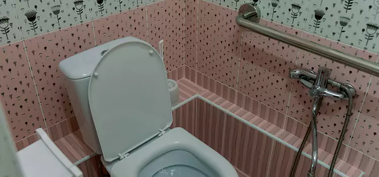 Meeting Diverse Needs With Accessible Restroom Solutions in Nicholasville, KY