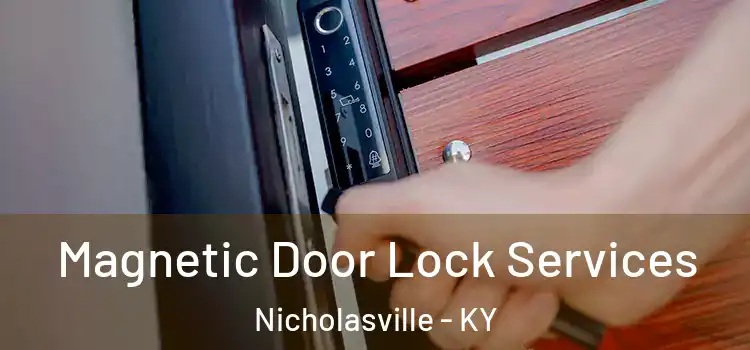 Magnetic Door Lock Services Nicholasville - KY