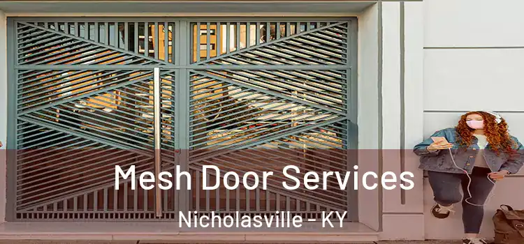  Mesh Door Services Nicholasville - KY