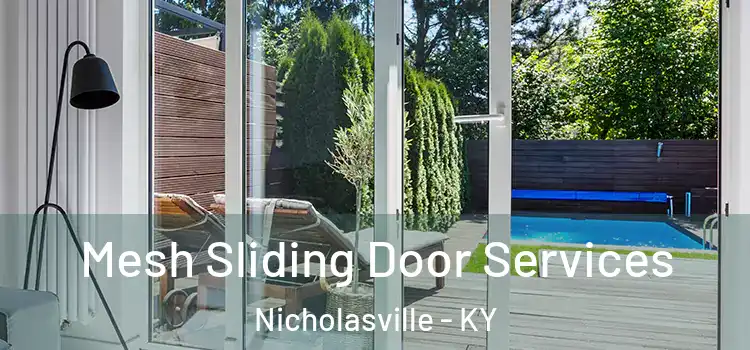 Mesh Sliding Door Services Nicholasville - KY