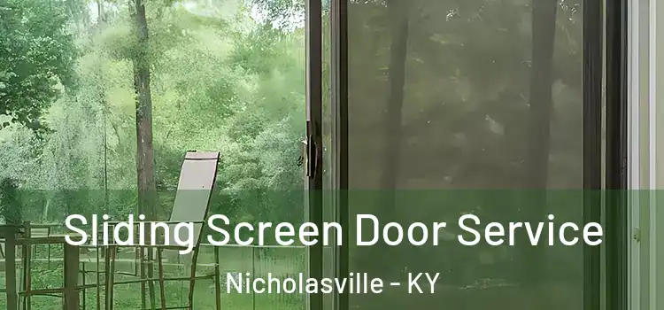Sliding Screen Door Service Nicholasville - KY
